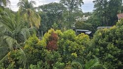 Holland Road (D10), Detached #568091731